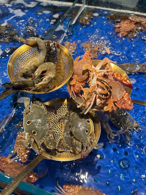 龙岗蒸汽海鲜哪家店地道？-图3