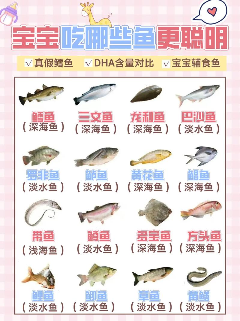 六个月宝宝怎么吃鱼肉才安全营养？-图2