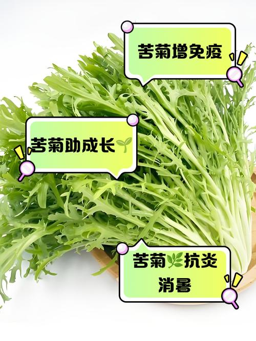 八个月宝宝能吃苦菊吗？-图1