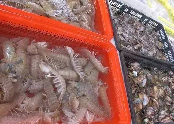 海鲜泡福尔马林是普遍现象吗？-图2