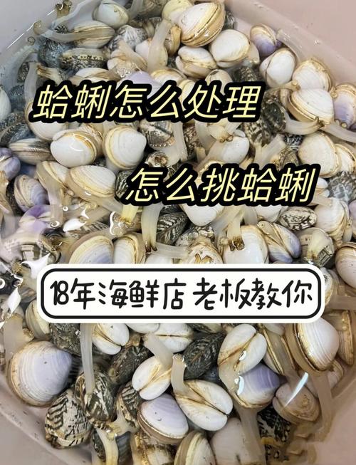 海鲜处理前有哪些关键步骤？-图2