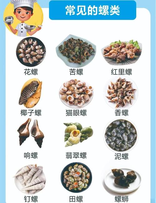 海鲜小螺丝怎么做好吃？-图3