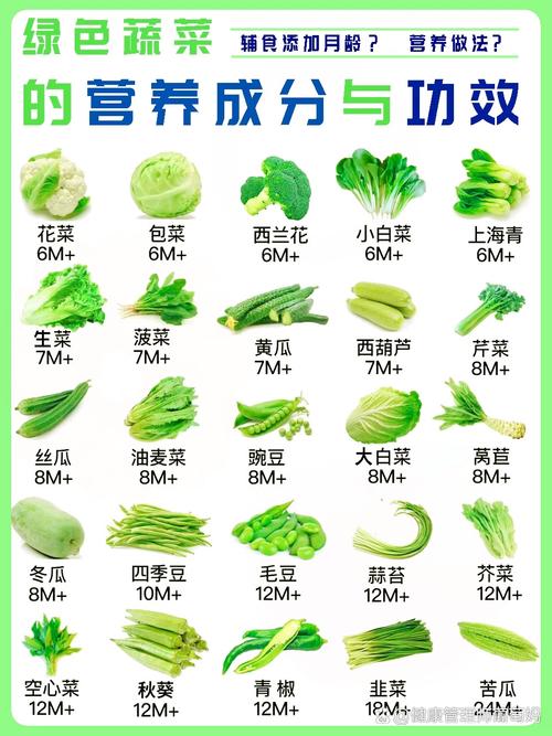 六个月宝宝适合吃哪些蔬菜？-图2