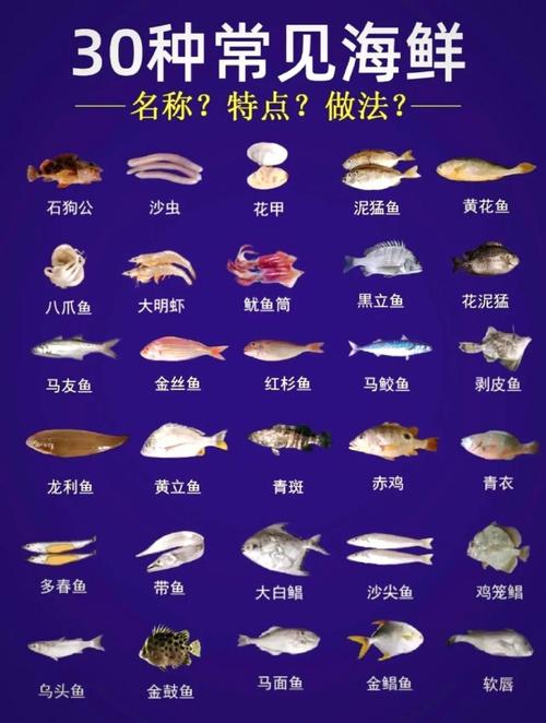 海鲜是否四季都有供应？-图3