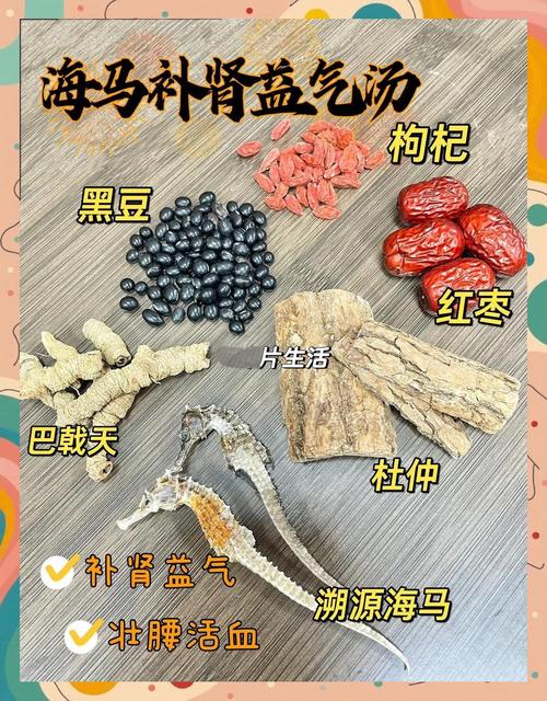 补肾时吃海鲜可行吗？-图1