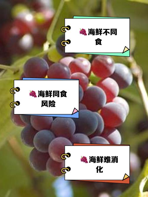葡萄可以和海鲜同吃吗-图2