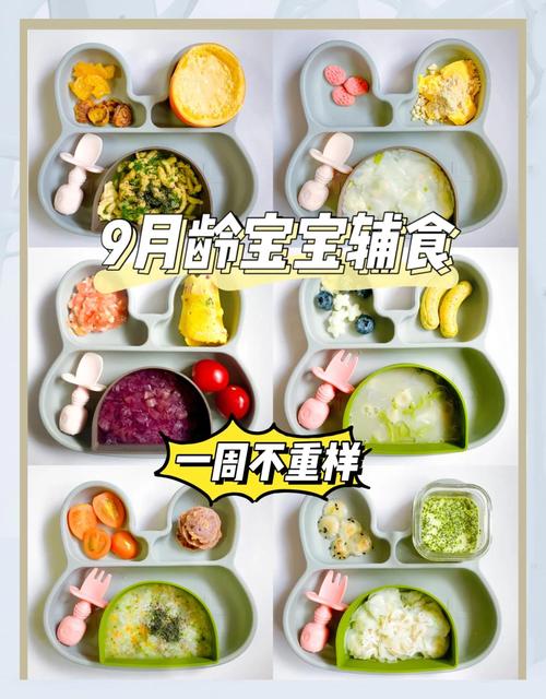 九个月的宝宝该吃什么-图1