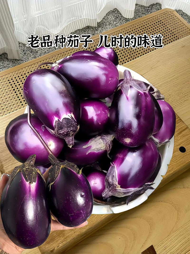 紫茄子怎么做家常又好吃？-图1