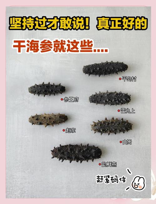 干海参的家常做法14款-图1