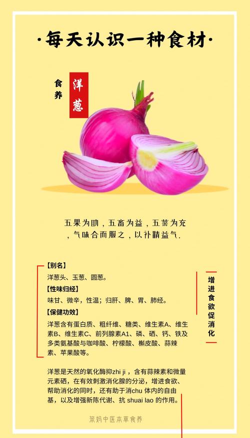 海鲜能放洋葱一起煮吗？-图1