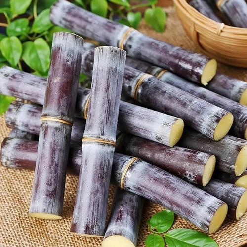 海鲜配甘蔗会相克吗？-图1