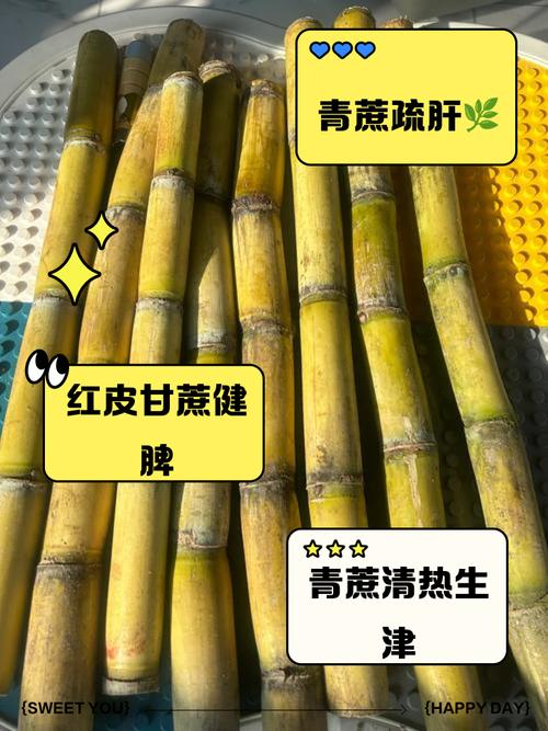 海鲜配甘蔗会相克吗？-图3