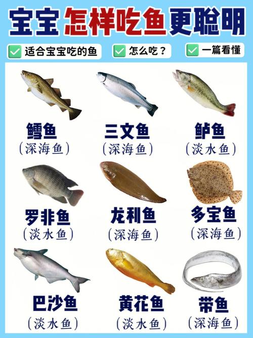 宝宝辅食一顿吃多少鱼合适？-图3