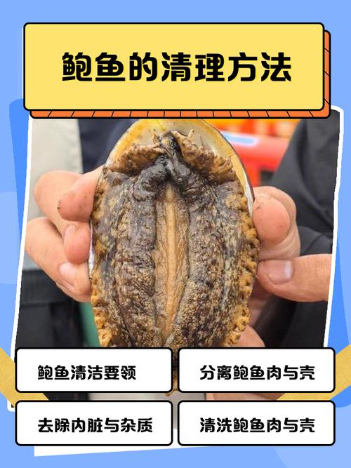 外国海鲜清理教程有哪些关键步骤？-图1
