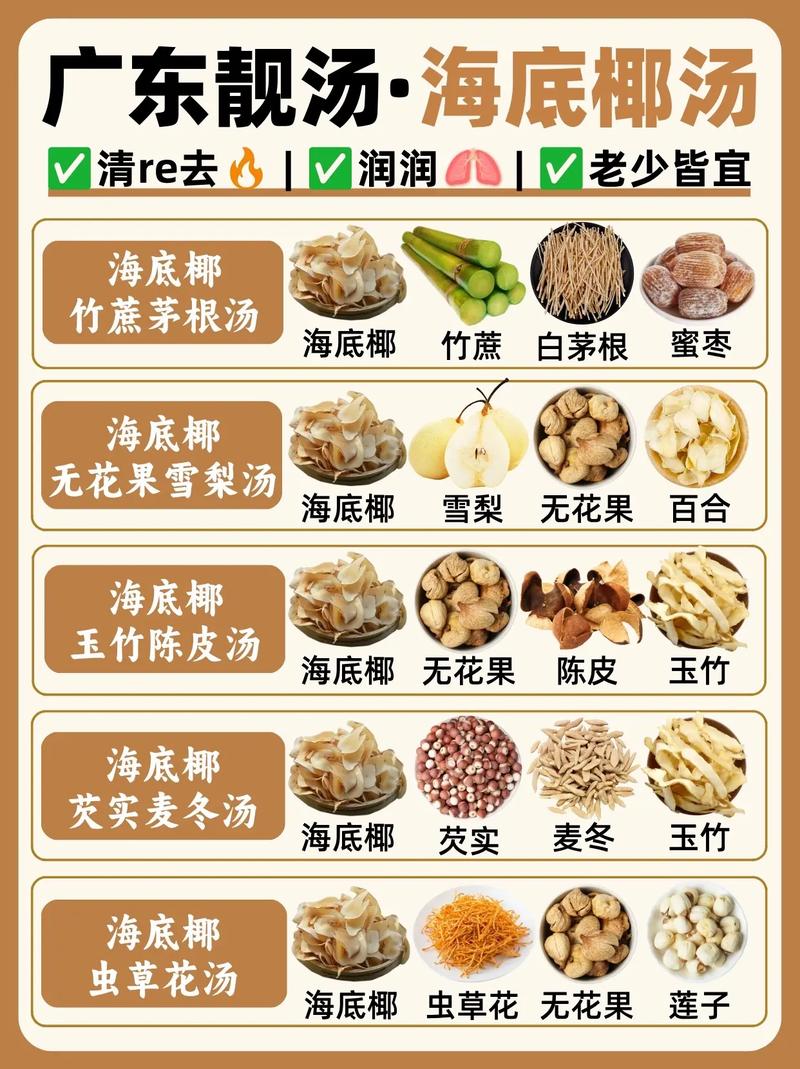 煲汤500例，新手怎么选？-图2