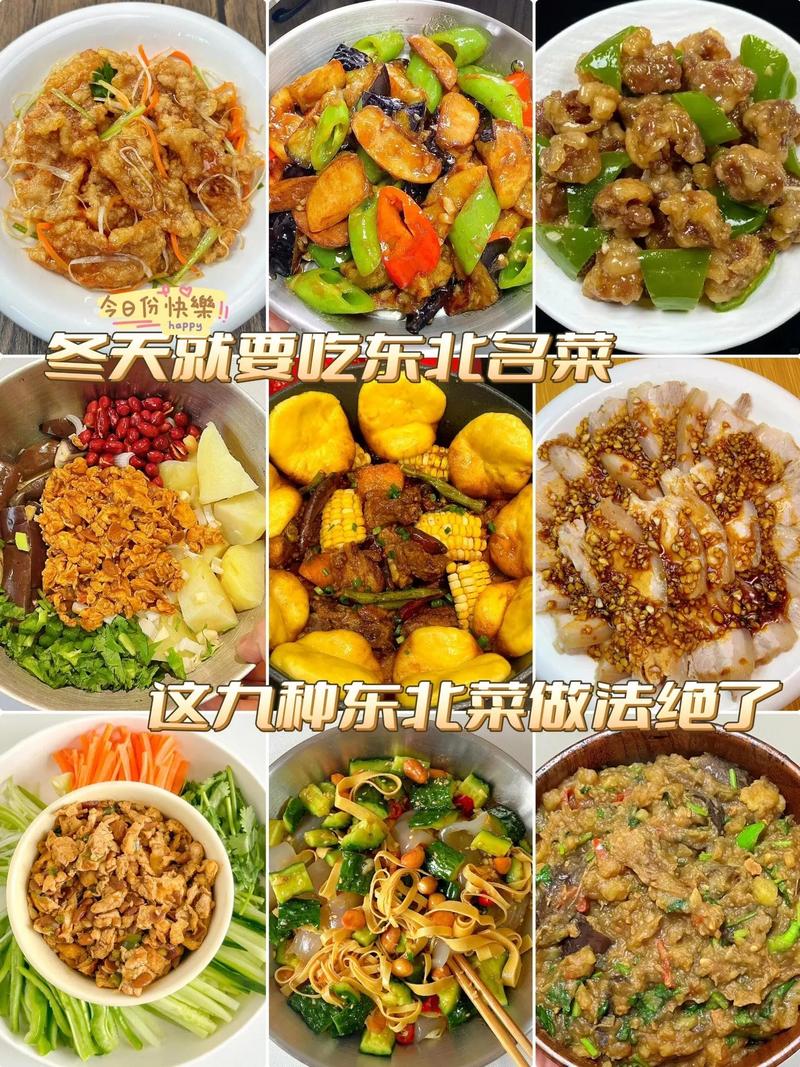 东北家常菜谱1000例，道道经典怎么做？-图1