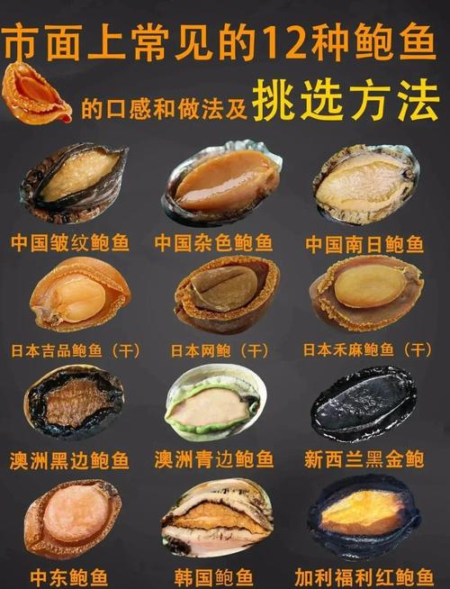 鲍鱼家常做法有哪些？-图2