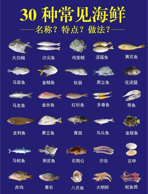 海鲜做法大全有哪些必备技巧?-图2 海鲜做法大全有哪些必备技巧?-图2