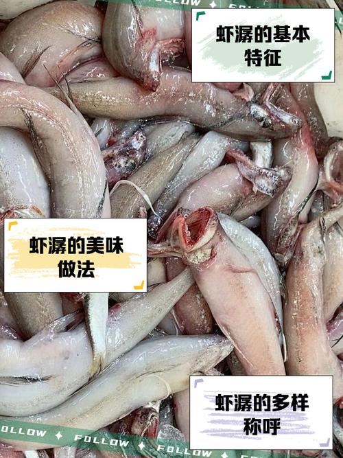 水潺到底算河鲜还是海鲜？-图1