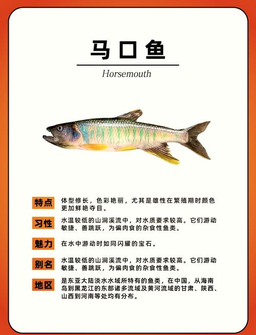 水潺到底算河鲜还是海鲜？-图2