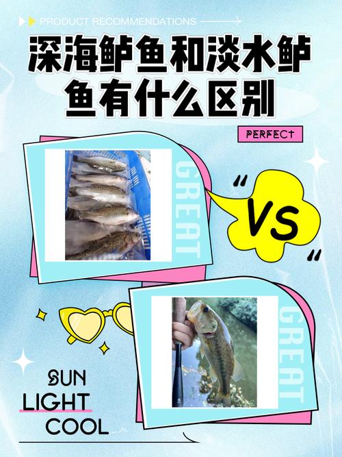 水潺到底算河鲜还是海鲜？-图3