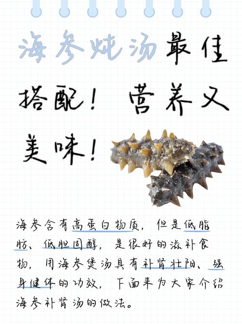 海参煲汤家常做法有哪些？-图2