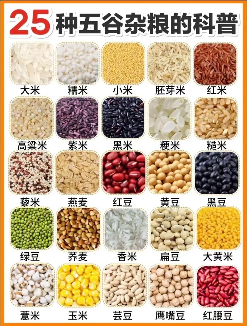 适合一岁宝宝吃的粗粮-图2