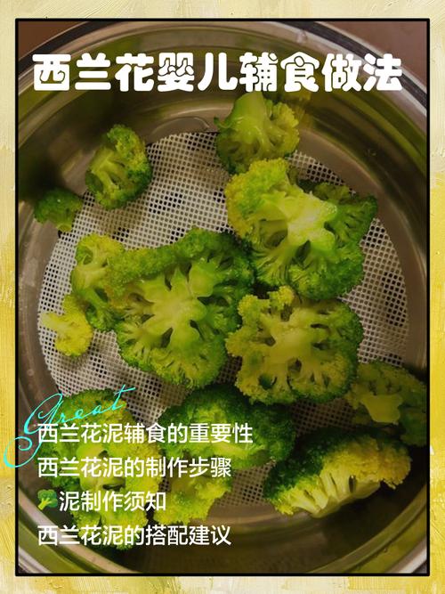 4个月宝宝能吃西兰花辅食吗？-图1