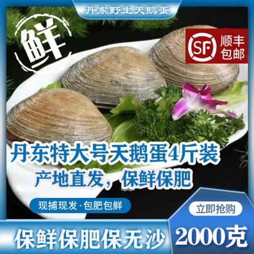 海鲜天鹅蛋吃多了会怎样？-图1