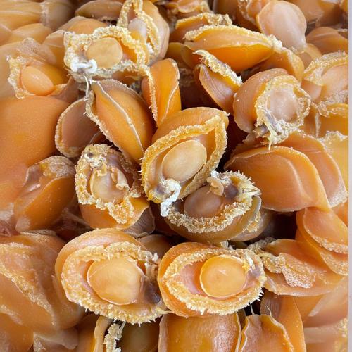 海鲜干货有哪些必尝美味？-图2