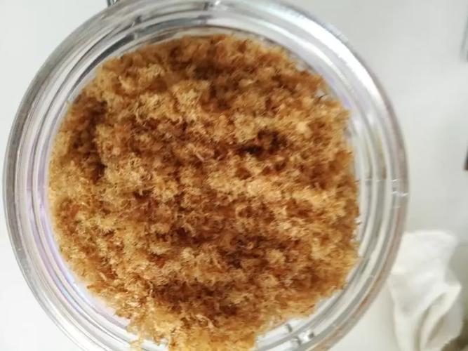 五个月宝宝能吃肉松吗？-图3