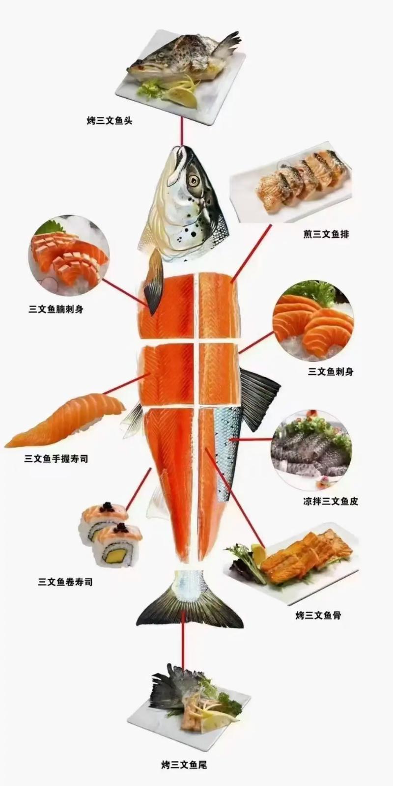 海鲜刺身加工做法有哪些关键步骤？-图1