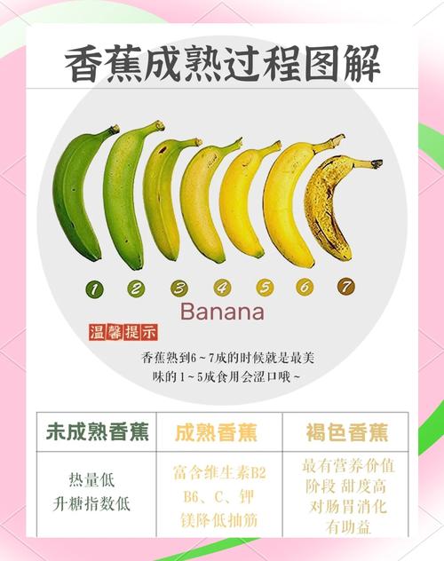 海鲜减肥时能吃香蕉吗？-图3