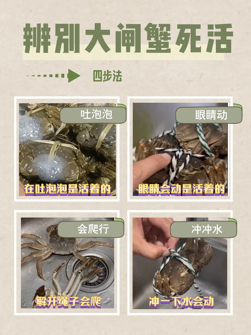 海鲜怎么判断新鲜不新鲜？-图2