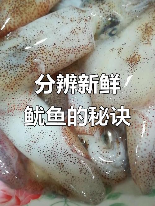 海鲜怎么判断新鲜不新鲜？-图1