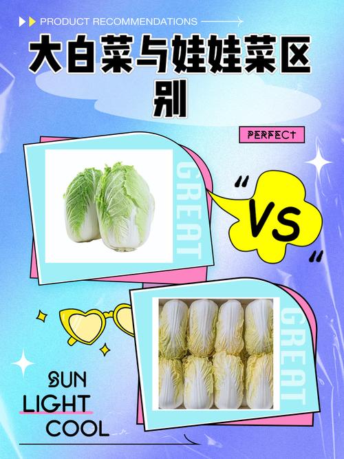 一岁宝宝能吃大白菜吗？-图3