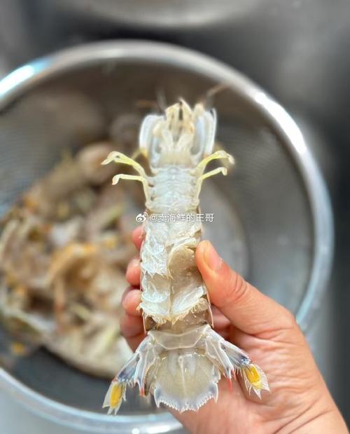 海鲜网潮怎么洗才干净？-图2
