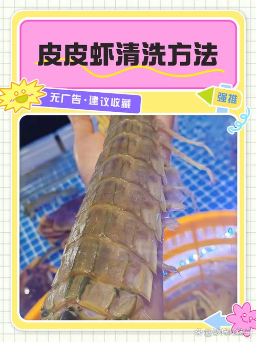 海鲜网潮怎么洗才干净?-图3 海鲜网潮怎么洗才干净?-图3