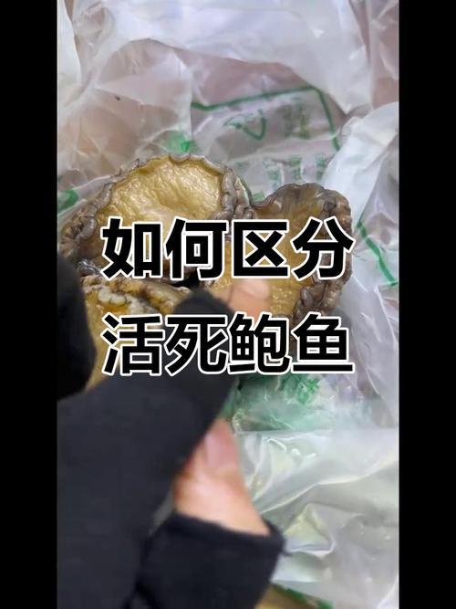 死海鲜多久吃会中毒？-图1