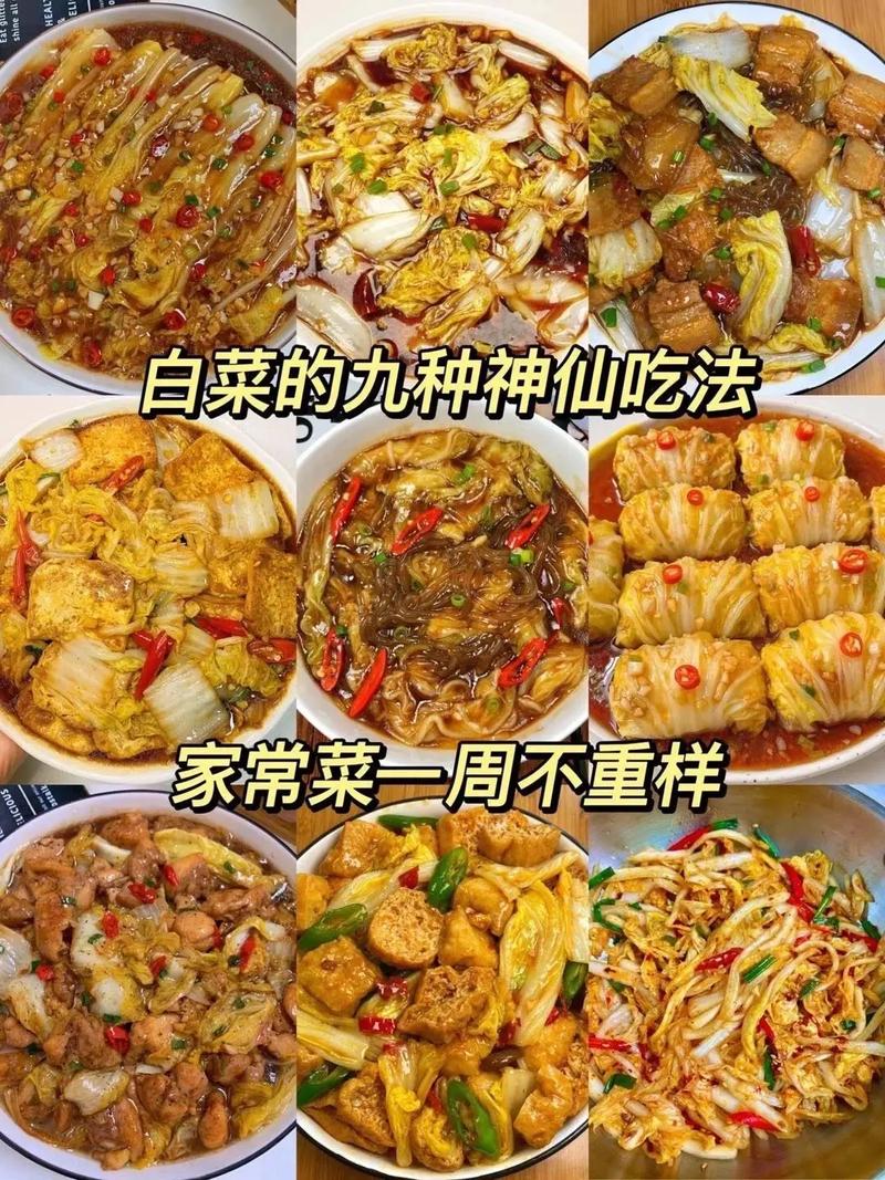 家常白菜菜谱有哪些做法？-图1