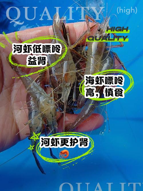 吃药能吃河虾吗？-图2