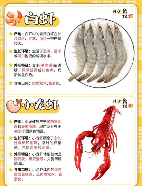 吃药能吃河虾吗？-图3