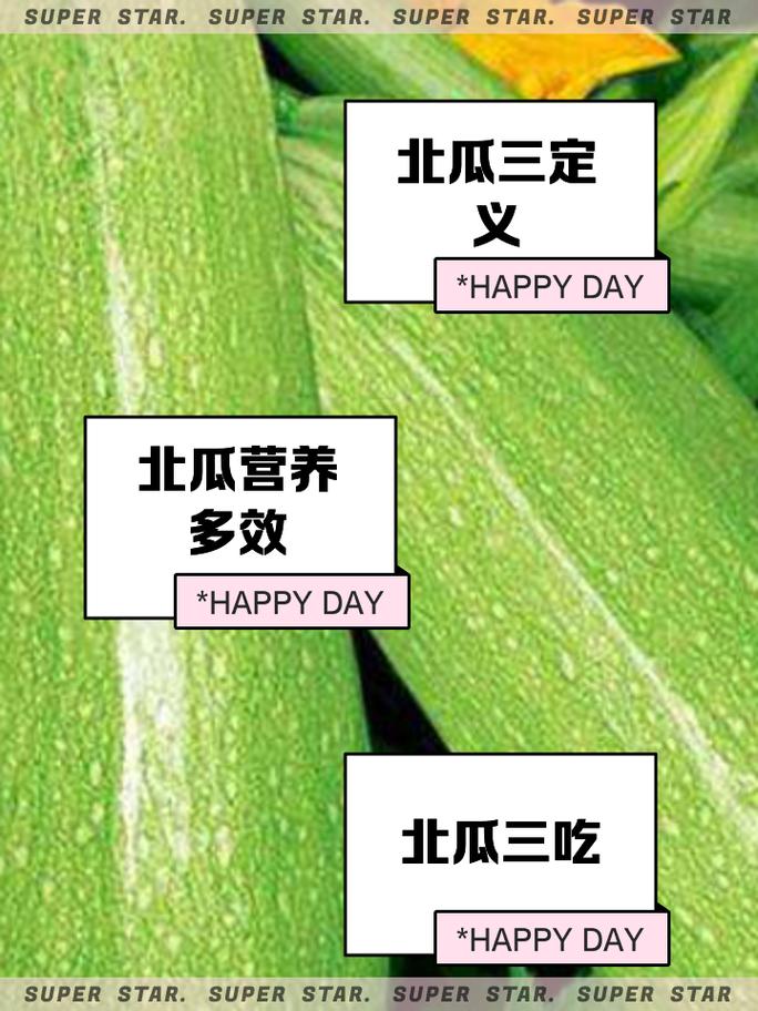 家常北瓜做法有哪些？-图2