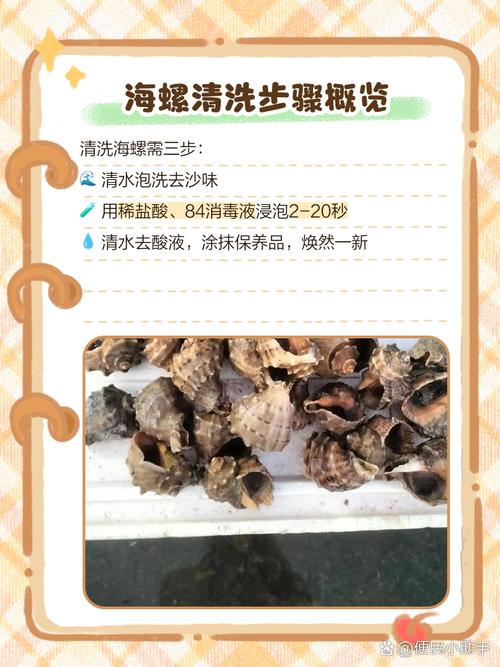 冷冻贝壳海鲜解冻有哪些正确方法？-图3