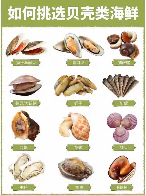 贝类海鲜怎么判断死活？-图1