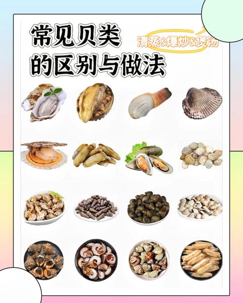 贝类海鲜怎么判断死活？-图3