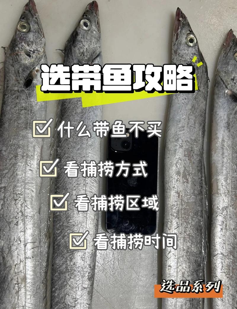 带鱼属于河鲜还是海鲜？-图2