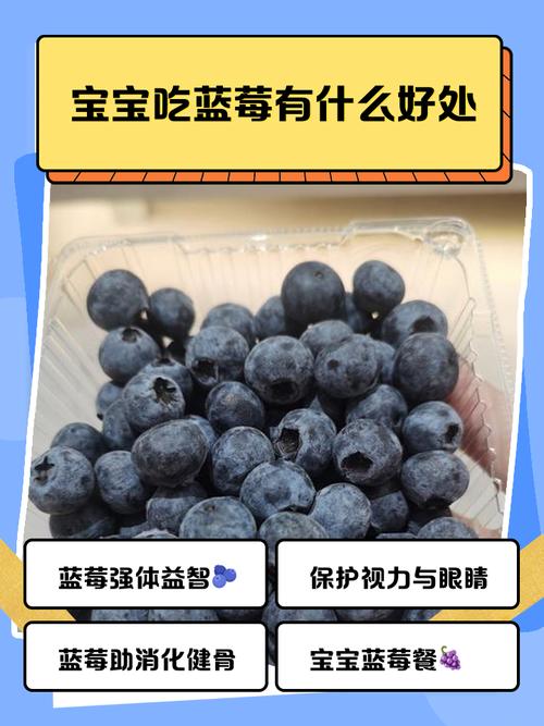 一岁宝宝蓝莓怎么吃安全又合适？-图3