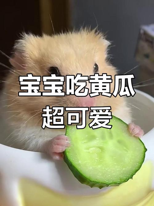 九个月宝宝黄瓜怎么吃才安全？-图3