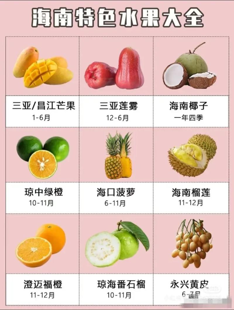 水果海鲜表格图片大全有哪些？-图2